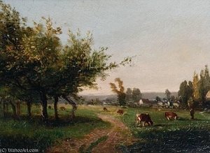 Cows Grazing