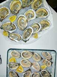 Oysters — Elina Brotherus