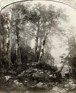 The Edge Of The Forest, (painting) — Asher Brown Durand