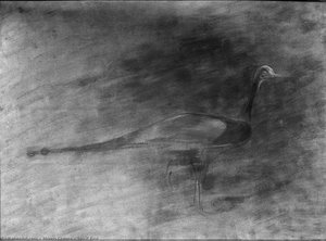 Spirit Bird — Morris Graves