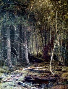 The Forest Horizons — Ivan Ivanovich Shishkin