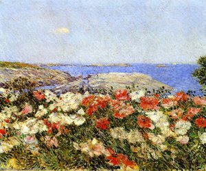 Mohnblumen Auf Den Isles Of Shoals — Frederick Childe Hassam