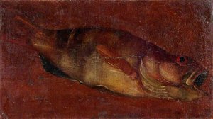 Study Of A Fish — Luca Carlevaris