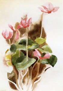 Cyclamen 2 — Charles Demuth