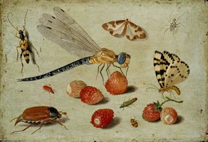 A Dragon Fly, Two Moths, A Spider And Some Beetles, With Wild Strawberries — Jan Van Kessel The Elder