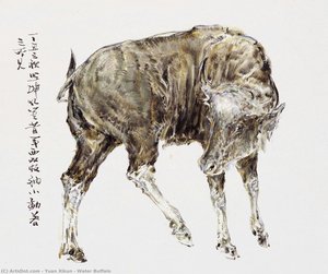 Water Buffalo — Yuan Xikun