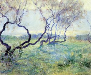 Tamarisk Trees In Early Sunlight — Guy Orlando Rose