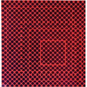 Untitled1 — Viktor Vasereli, Op Art