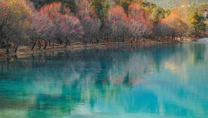 Reflections of an Amber Silence: A Nocturne in Turquoise