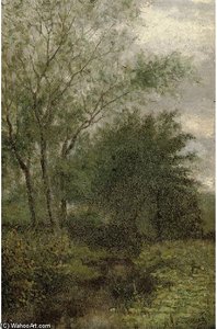 The Woodland Stream