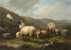 Landscape with Sheep