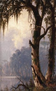 Louisiana Landscape