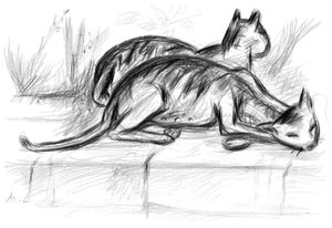 Two Cats — Mikhail Fiodorovich Larionov