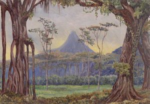 Krakatau Volcano, Ngantang, Java — Marianne North