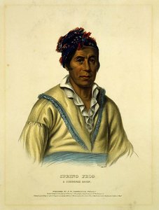 Spring Frog. A Cherokee Chief — Charles Bird King