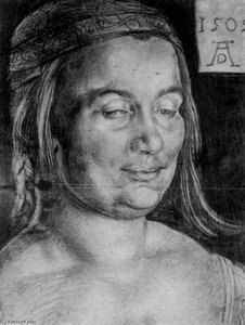 Porträt Eines Windischen Bauern — Albrecht Dürer