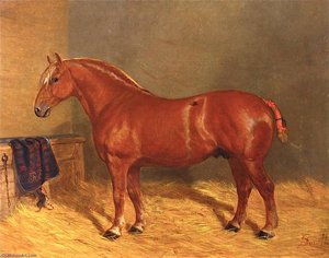 'leiston' — John Duval