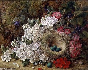 A Bird's Nest And Blossom