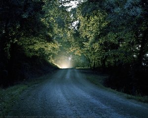 In The Ozarks There Are Lights (devil’s Promenade) — Lara Lewington