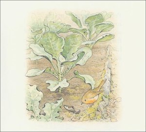 Peter Rabbit 13a - (11x11) — Beatrix Potter
