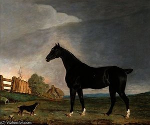 A dark bay horse and a terrier in a landscape