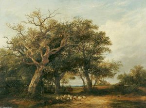 Marlborough Forest — James Stark