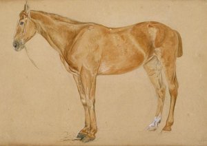 A Chestnut Horse With A Docked Tail — John Frederick Lewis
