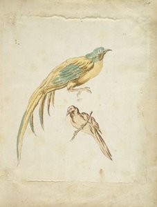 Two Perched Birds — Jean-baptiste Oudry