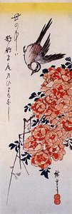 Rose und Japanische Wachtel