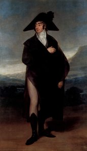 Count Fernand Nunez Vii — Francisco José De Goya Y Lucientes, Romanticism