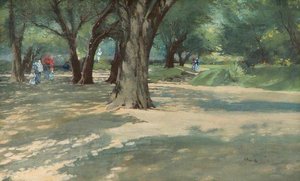 A wooded park