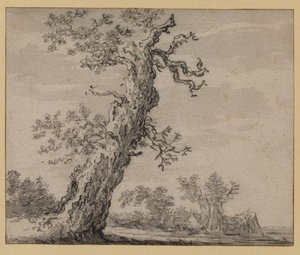 Landscape With Oak Tree — Jan Josephszoon Van Goyen