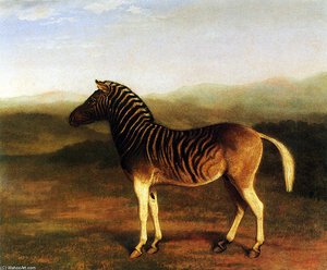 Quagga — Jacques Laurent Agasse