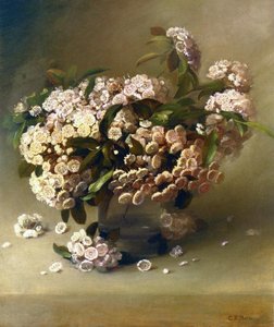 Mountain Laurel — Charles Ethan Porter