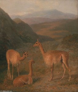 Vicunas — Jacques Laurent Agasse