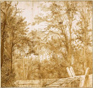 Trees Behind A Wooden Fence — Cornelis Hendricksz El Joven Vroom