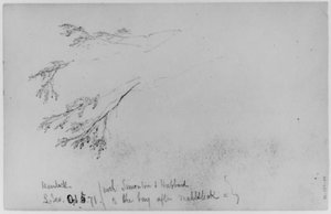 Study Of Hemlock — Daniel Huntington