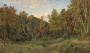 Forest Landscape — Ivan Ivanovich Shishkin