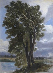 Trees In A Wind — George Harvey