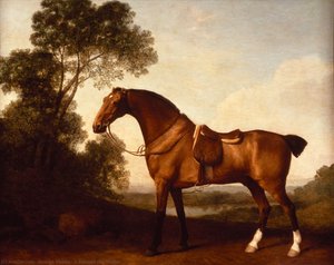 A Saddled Bay Hunter — George Stubbs, Realism