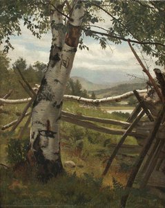 Summer Landscape With Birch — Ivan Ivanovich Shishkin
