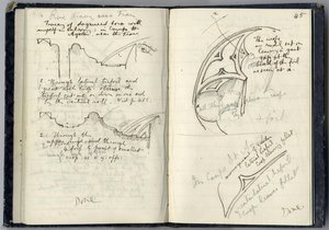 Architectural Notebook - ‘n Book’ (p. 45) — John Ruskin