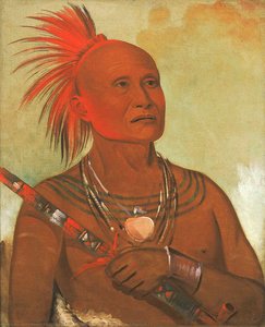 Pam A Hó, The Swimmer, One Of Black Hawk's Warriors — George Catlin