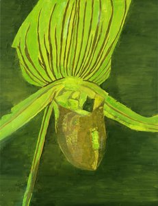 Orchid — Luc Tuymans