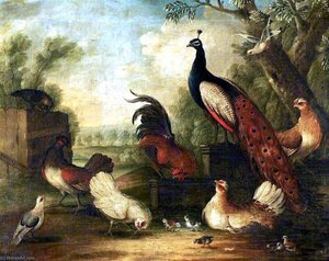 A Group Of Ornamental Fowl In A Landscape — Marmaduke Cradock