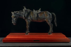 Horse after work