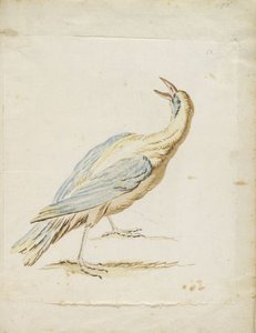 Standing Bird Looking Upward And Behind — Jean-baptiste Oudry