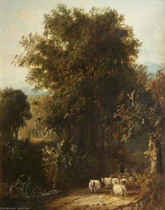Norfolk Wooded Landscape