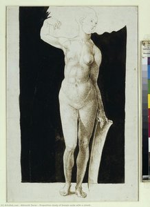 Studie Zur Proportionierung Einer Weiblichen Nüde Mit Einem Schild — Albrecht Dürer