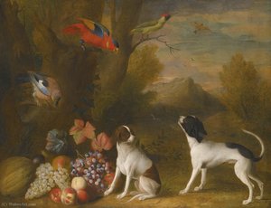 Landscape With Exotic Birds And Two Dogs — Jakab Bogdány